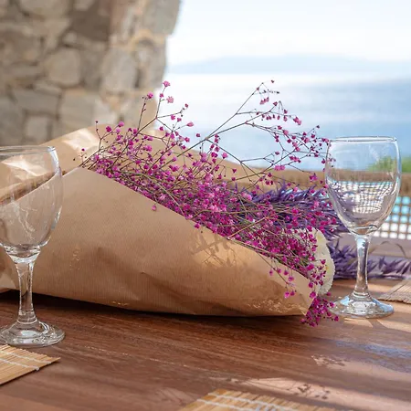 Sanarte Mykonos Villa Agios Ioannis Diakoftis